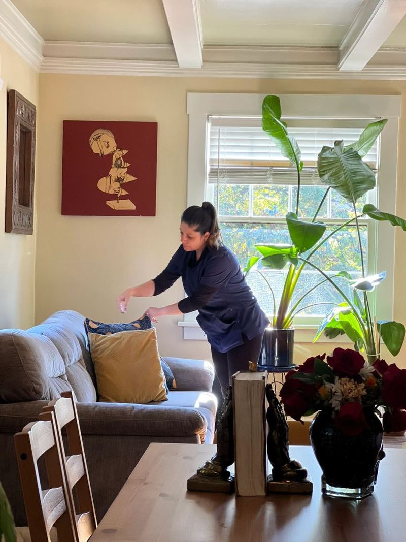 Living room mid-visit, cushions lifted and surfaces polished